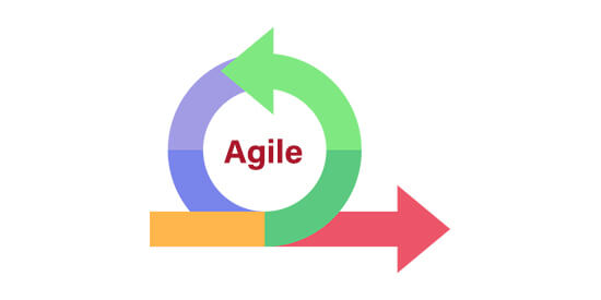 Agile Online Training