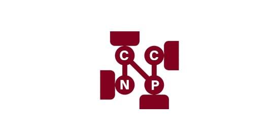 CCNP Training