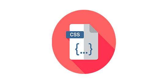 CSS Training